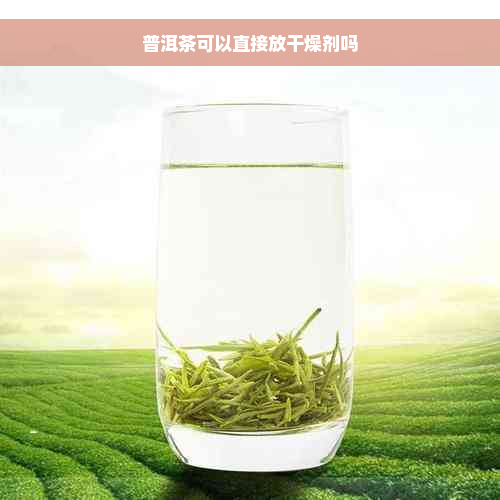 普洱茶可以直接放干燥剂吗