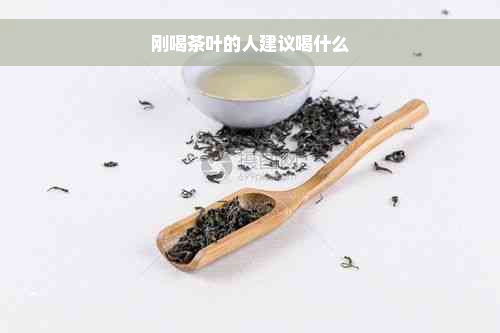 刚喝茶叶的人建议喝什么