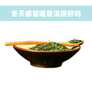 冬天感冒喝普洱茶好吗