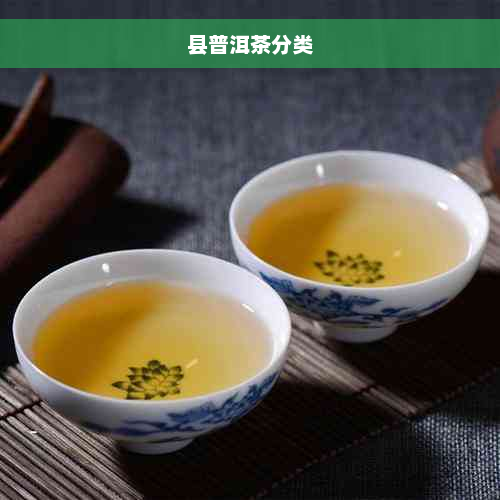 县普洱茶分类