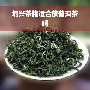 坭兴茶罐适合放普洱茶吗