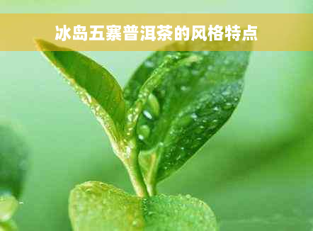 冰岛五寨普洱茶的风格特点