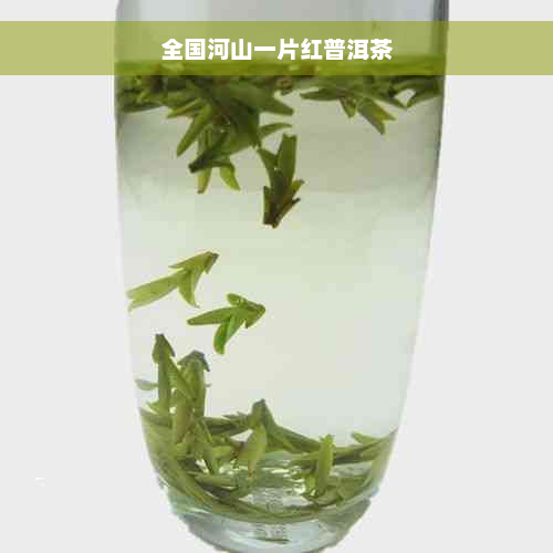 全国河山一片红普洱茶