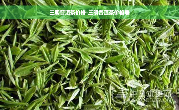 三明普洱茶价格-三明普洱茶价格表