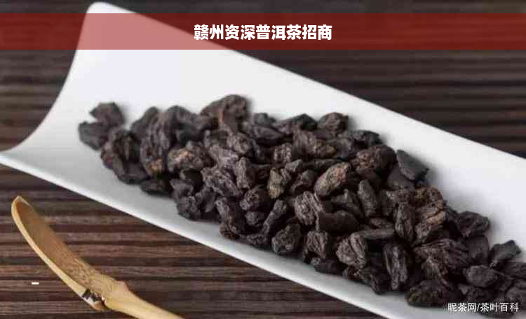 赣州资深普洱茶招商