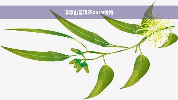 清凉山普洱茶0519价格