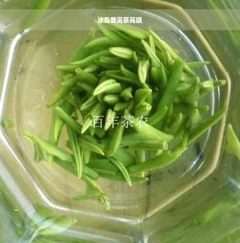 冰岛普洱茶高端