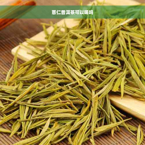 薏仁普洱茶可以喝吗