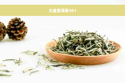 大益普洱茶301