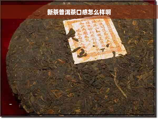 新茶普洱茶口感怎么样啊