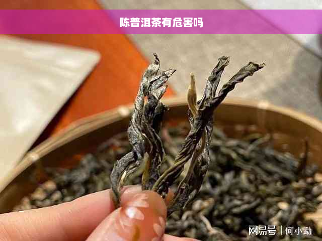 陈普洱茶有危害吗