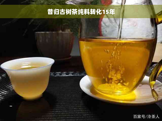 昔归古树茶纯料转化15年