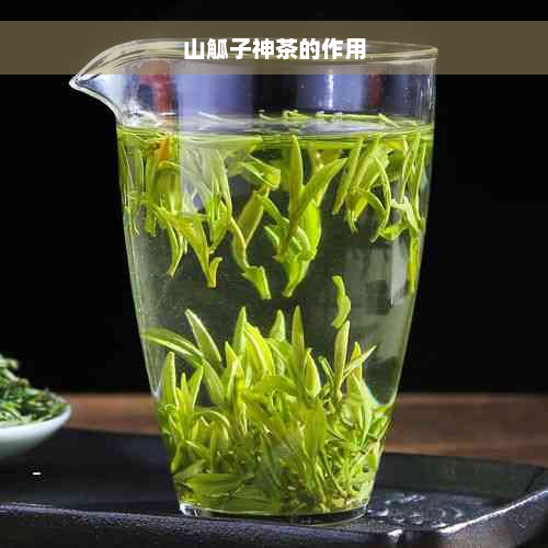 山觚子神茶的作用