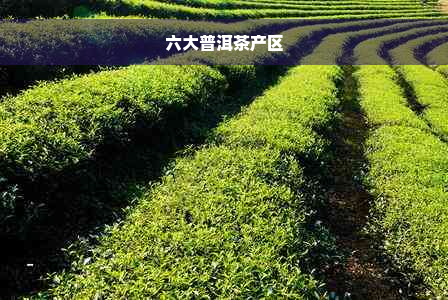 六大普洱茶产区