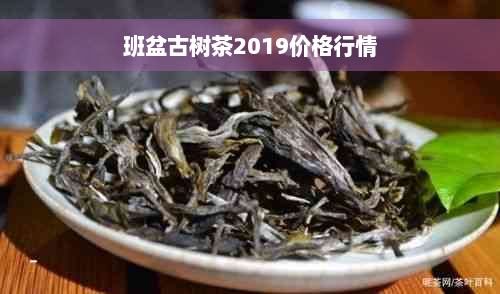 班盆古树茶2019价格行情