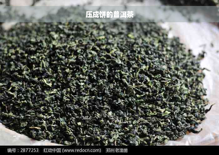 压成饼的普洱茶