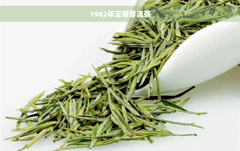 1982年云南普洱茶