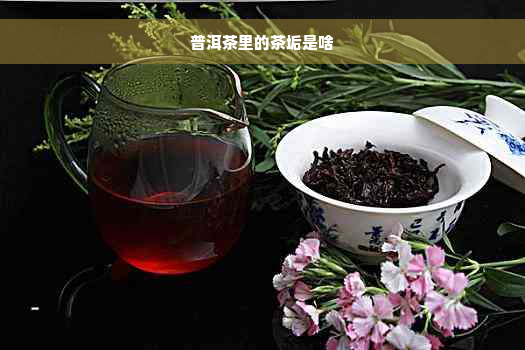 普洱茶里的茶垢是啥