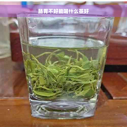 肠胃不好能喝什么茶好