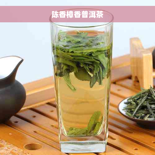 陈香樟香普洱茶