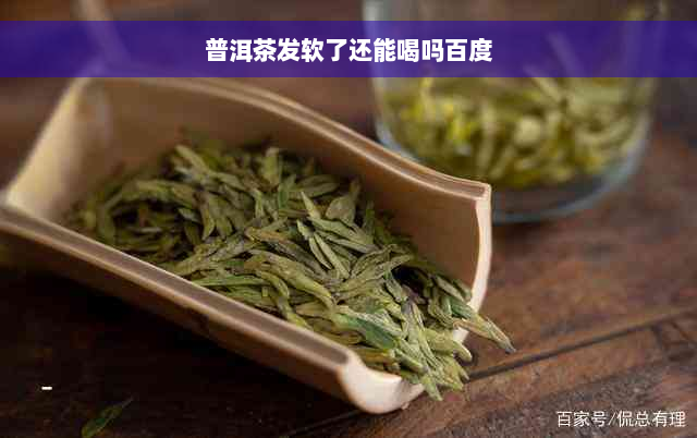 普洱茶发软了还能喝吗百度