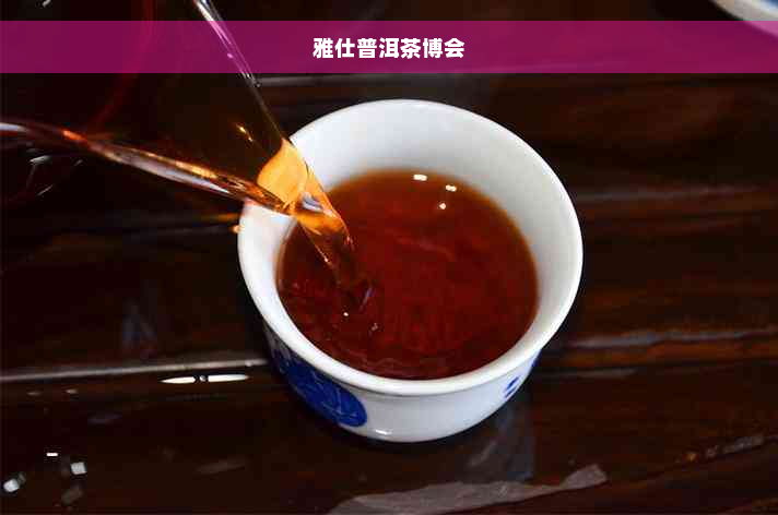 雅仕普洱茶博会