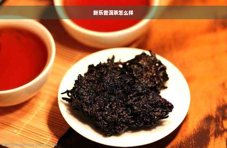 新乐普洱茶怎么样