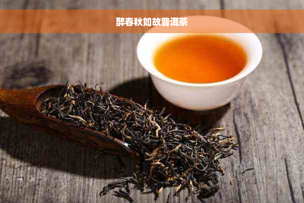 醉春秋如故普洱茶