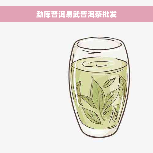 勐库普洱易武普洱茶批发