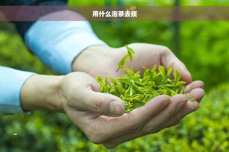 用什么泡茶去痰