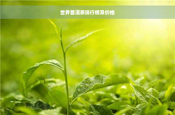 世界普洱茶排行榜及价格