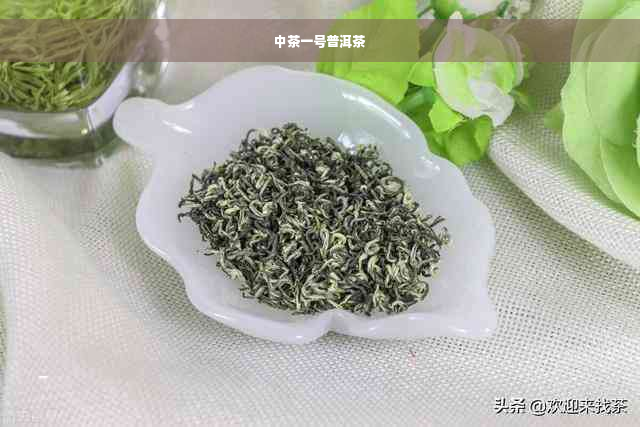 中茶一号普洱茶