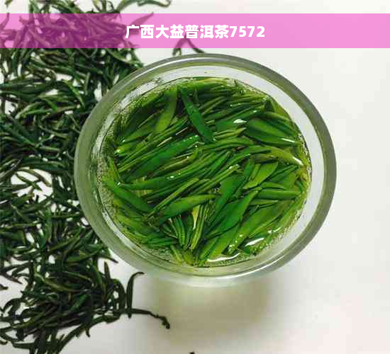 广西大益普洱茶7572