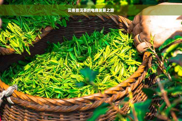 云南普洱茶的电商发展之路