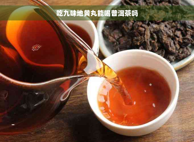 吃九味地黄丸能喝普洱茶吗