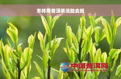 怎样用普洱茶洗脸去斑