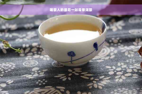 喝茶人的最后一站是普洱茶