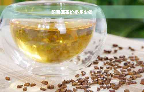 阳普洱茶价格多少钱