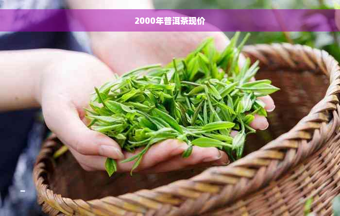 2000年普洱茶现价