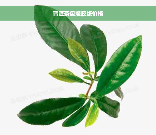 普洱茶包装胶纸价格