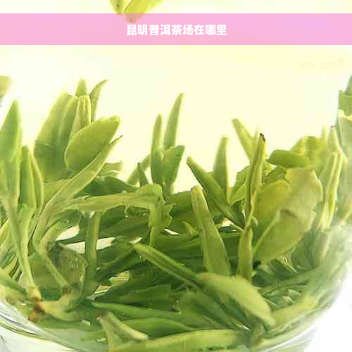 昆明普洱茶场在哪里