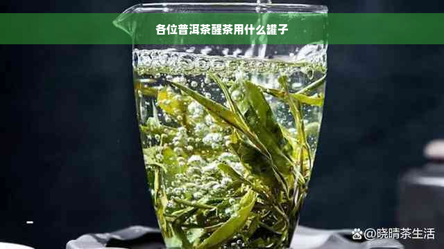 各位普洱茶醒茶用什么罐子