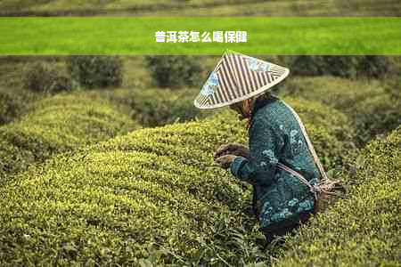 普洱茶怎么喝保健