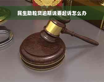 民生助粒贷逾期说要起诉怎么办