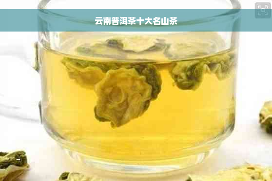 云南普洱茶十大名山茶