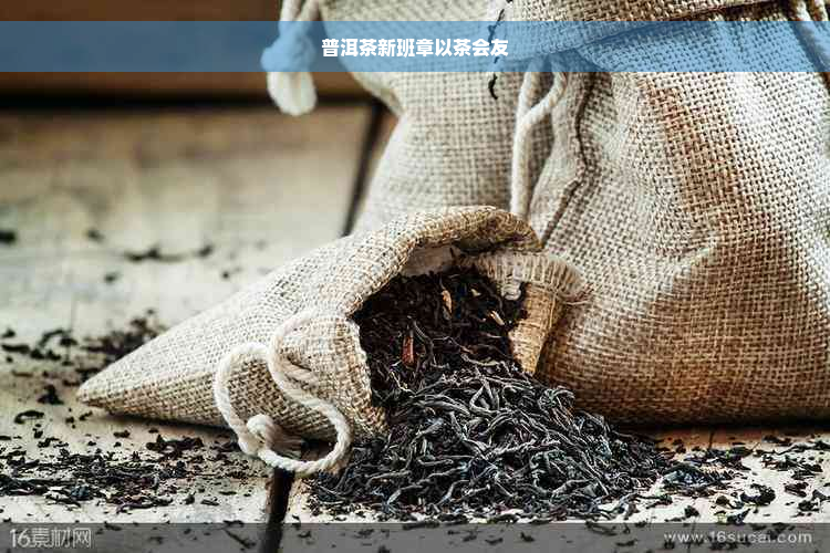 普洱茶新班章以茶会友