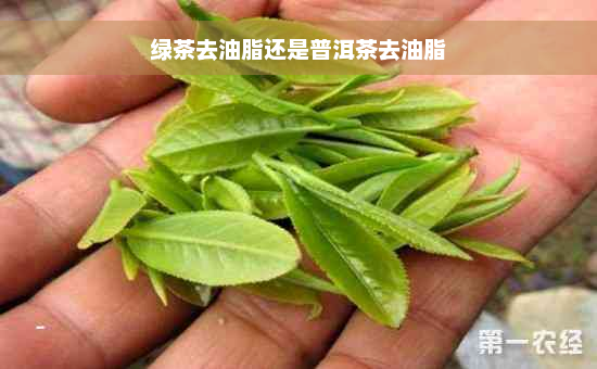 绿茶去油脂还是普洱茶去油脂