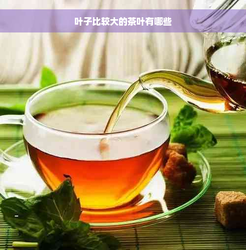 叶子比较大的茶叶有哪些