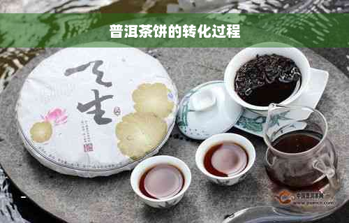 普洱茶饼的转化过程