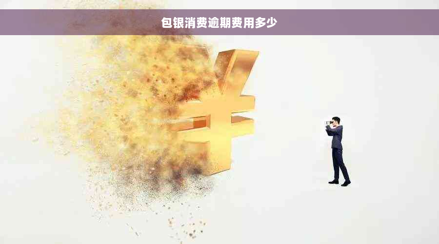 包银消费逾期费用多少